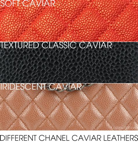 suede caviar chanel|Chanel Caviar Leather Reference Guide .